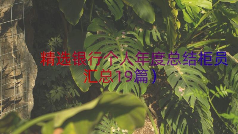 精选银行个人年度总结柜员（汇总19篇）