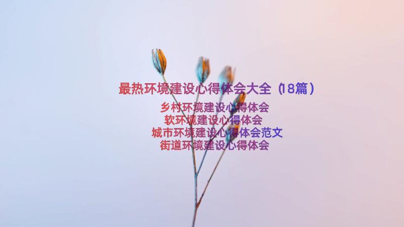 最热环境建设心得体会大全（18篇）