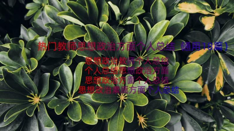 热门教师思想政治方面个人总结（通用18篇）