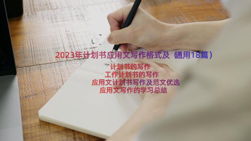 2023年计划书应用文写作格式及（通用18篇）