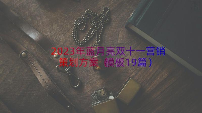 2023年蓝月亮双十一营销策划方案（模板19篇）