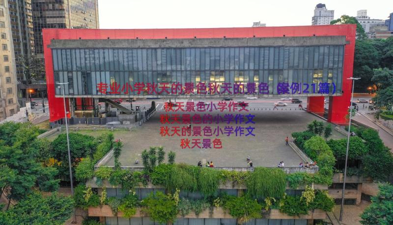 专业小学秋天的景色秋天的景色（案例21篇）