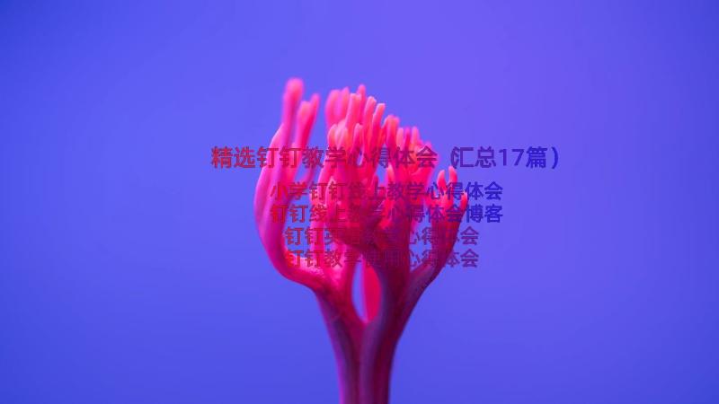 精选钉钉教学心得体会（汇总17篇）