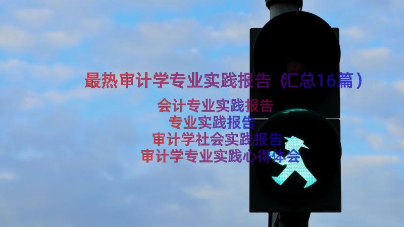 最热审计学专业实践报告（汇总16篇）