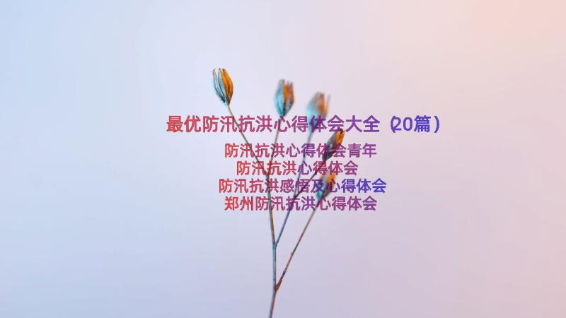 最优防汛抗洪心得体会大全（20篇）