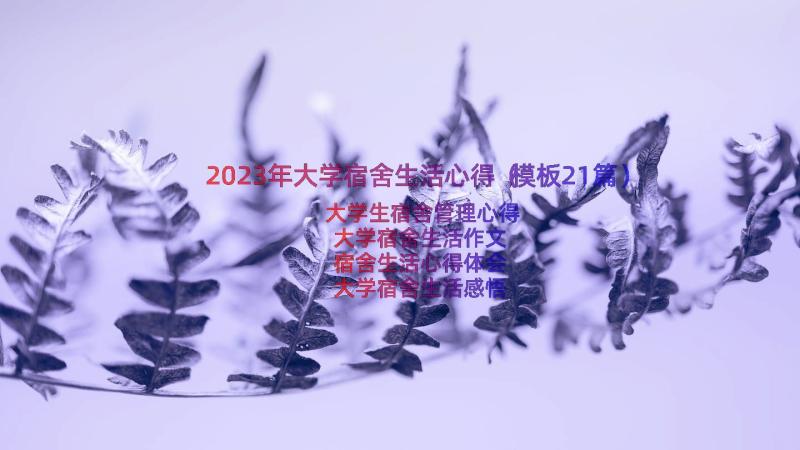 2023年大学宿舍生活心得（模板21篇）