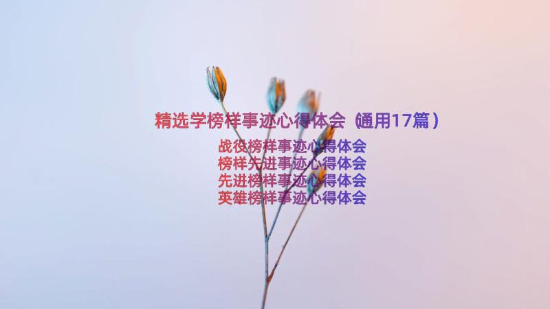 精选学榜样事迹心得体会（通用17篇）