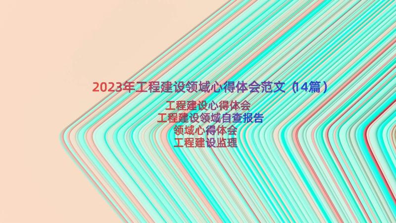 2023年工程建设领域心得体会范文（14篇）