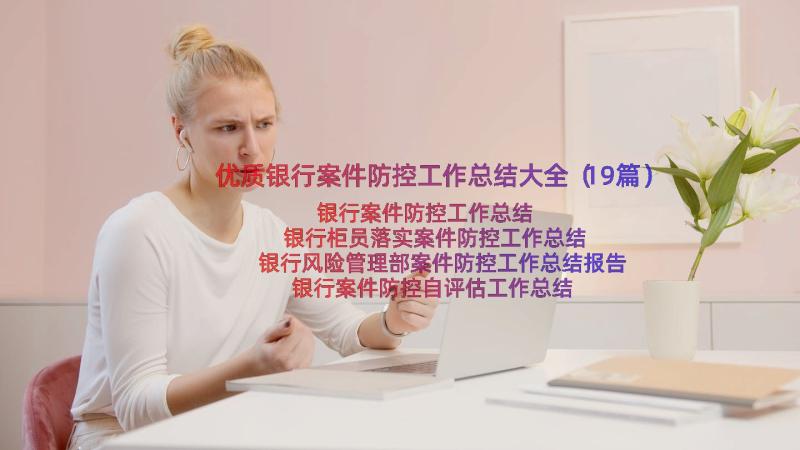 优质银行案件防控工作总结大全（19篇）