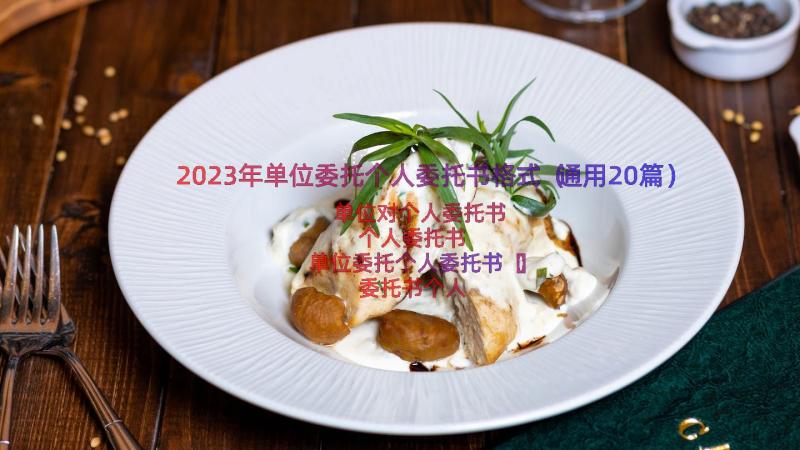 2023年单位委托个人委托书格式（通用20篇）