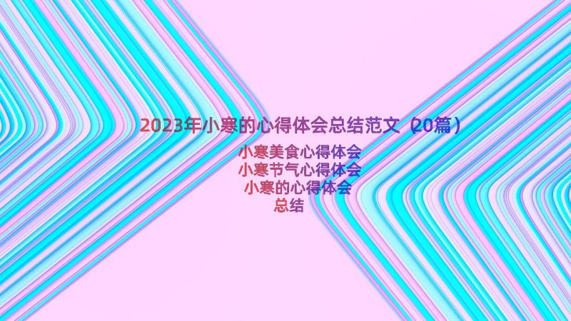 2023年小寒的心得体会总结范文（20篇）