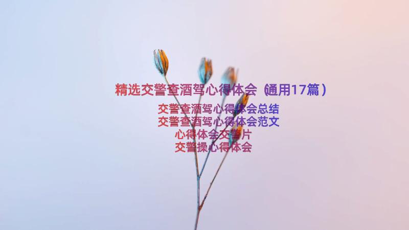 精选交警查酒驾心得体会（通用17篇）