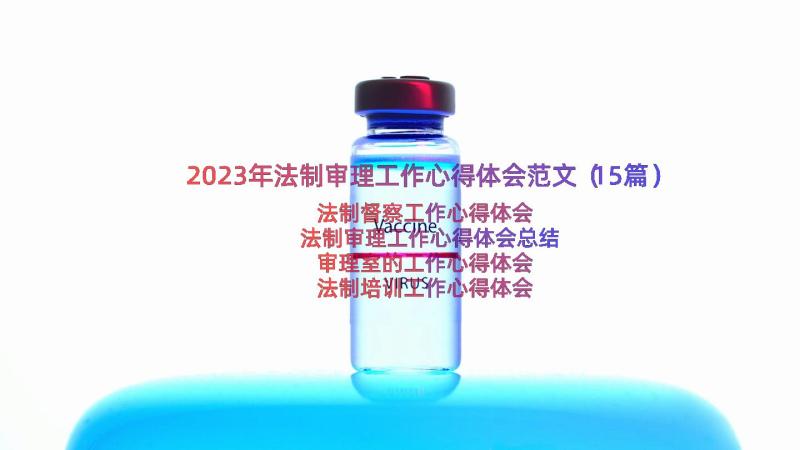 2023年法制审理工作心得体会范文（15篇）