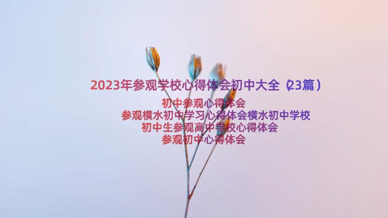 2023年参观学校心得体会初中大全（23篇）