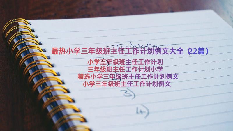 最热小学三年级班主任工作计划例文大全（22篇）