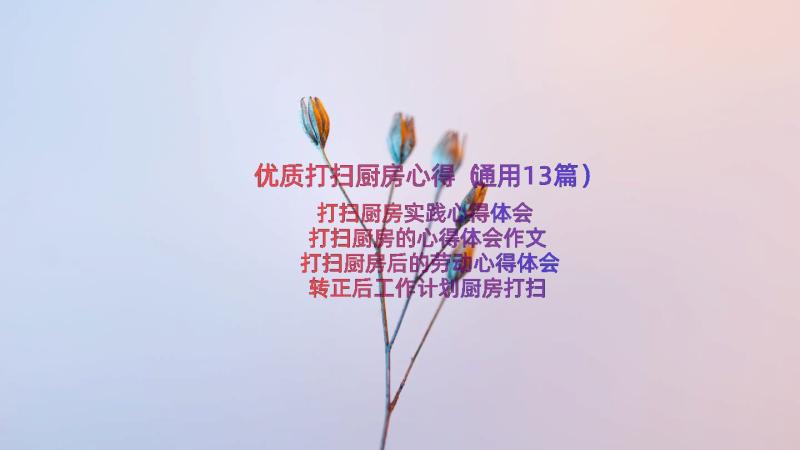 优质打扫厨房心得（通用13篇）