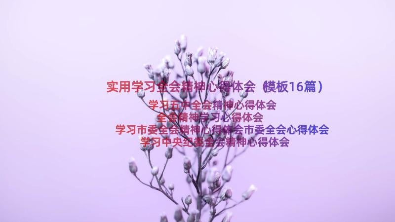 实用学习全会精神心得体会（模板16篇）