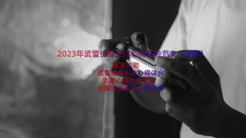 2023年武警执勤工作心得体会范文（20篇）