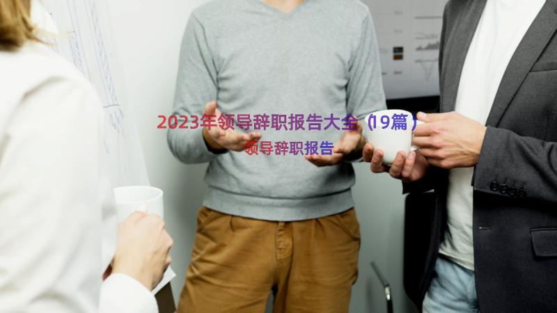 2023年领导辞职报告大全（19篇）