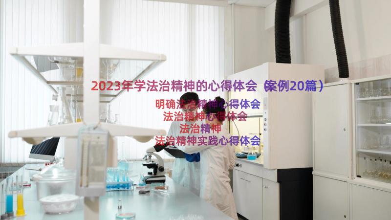 2023年学法治精神的心得体会（案例20篇）