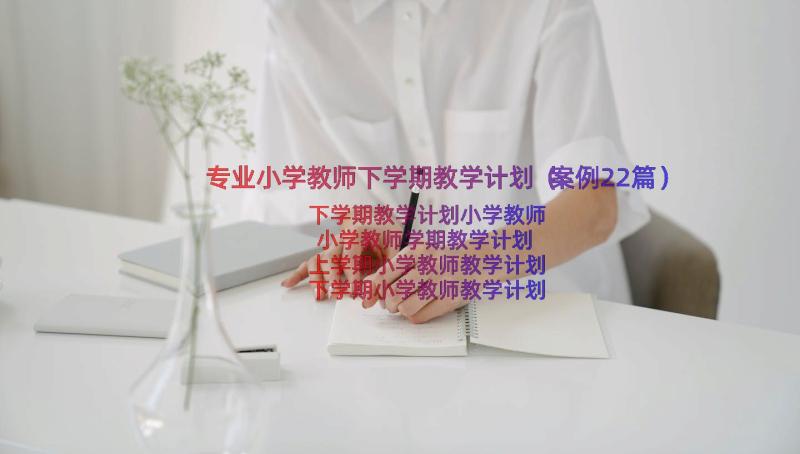 专业小学教师下学期教学计划（案例22篇）