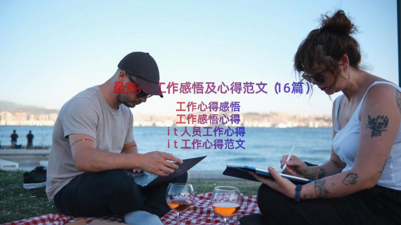 最热it工作感悟及心得范文（16篇）