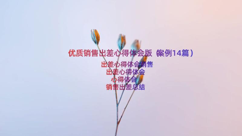 优质销售出差心得体会版（案例14篇）