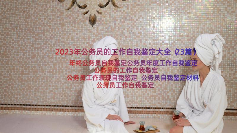 2023年公务员的工作自我鉴定大全（23篇）