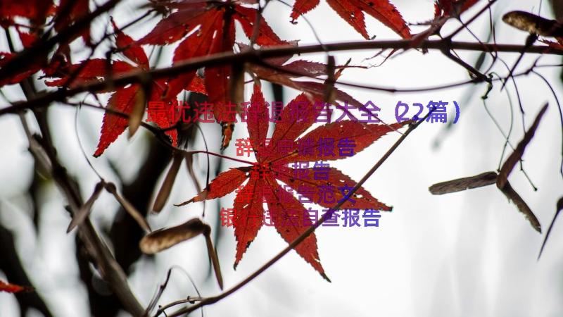 最优违法辞退报告大全（22篇）