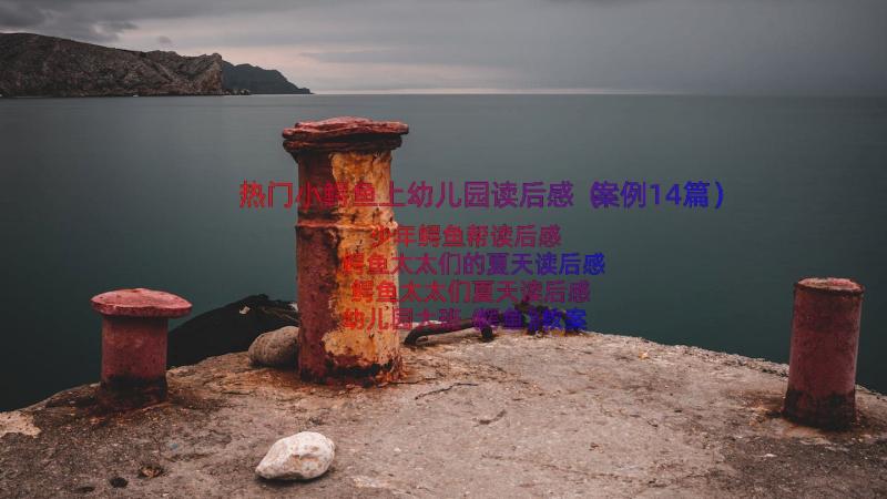 热门小鳄鱼上幼儿园读后感（案例14篇）