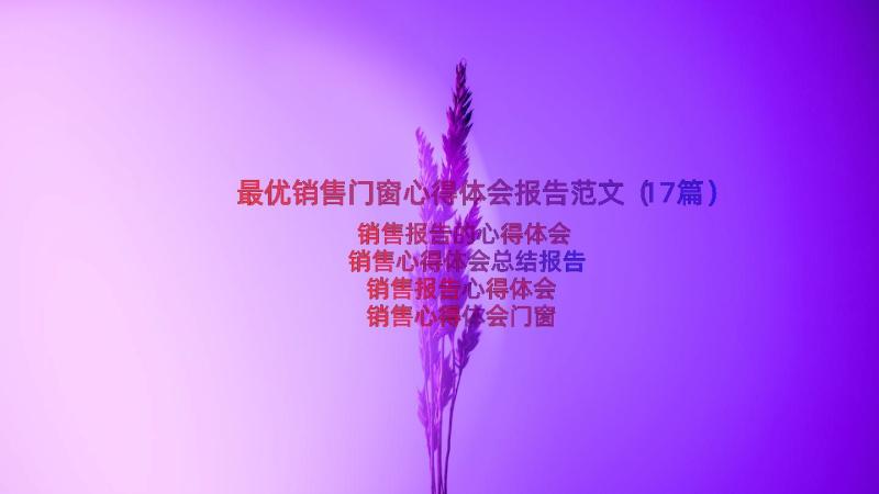 最优销售门窗心得体会报告范文（17篇）