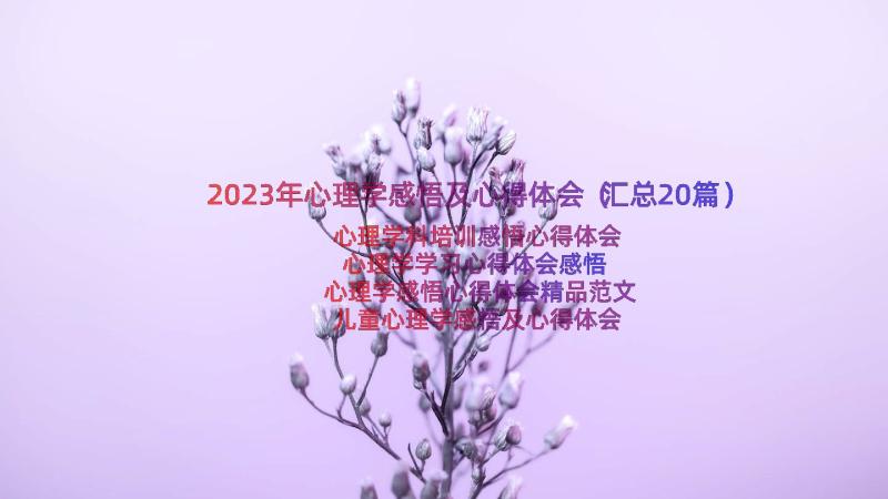 2023年心理学感悟及心得体会（汇总20篇）