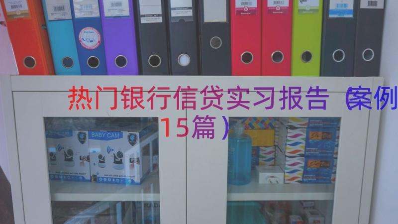 热门银行信贷实习报告（案例15篇）