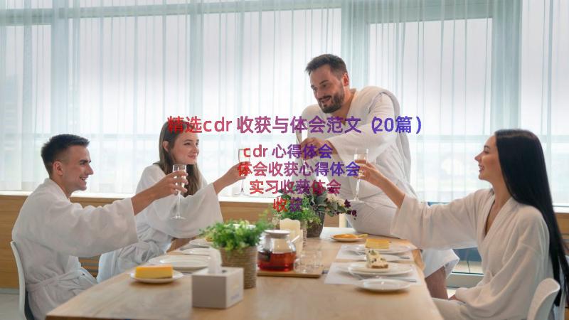 精选cdr收获与体会范文（20篇）