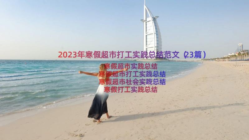 2023年寒假超市打工实践总结范文（23篇）