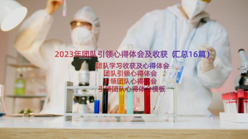 2023年团队引领心得体会及收获（汇总16篇）