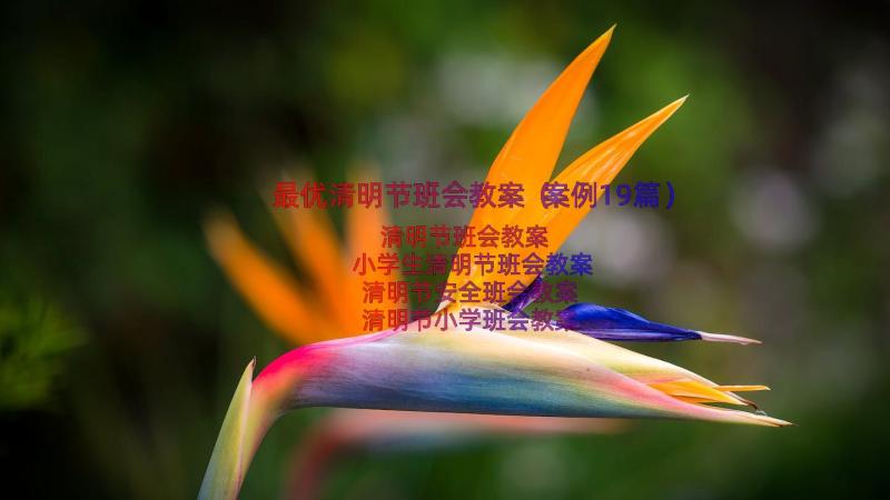 最优清明节班会教案（案例19篇）