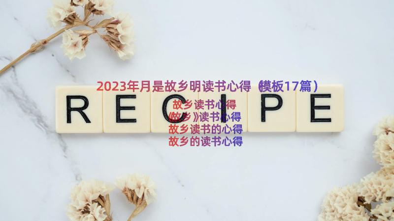 2023年月是故乡明读书心得（模板17篇）