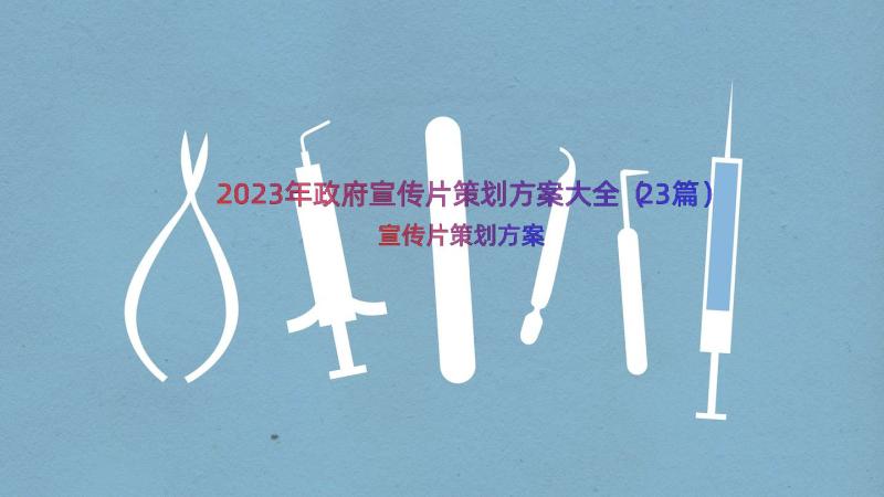 2023年政府宣传片策划方案大全（23篇）