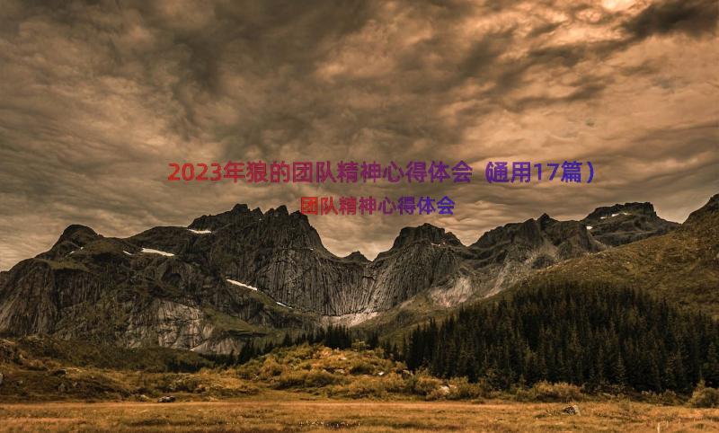 2023年狼的团队精神心得体会（通用17篇）