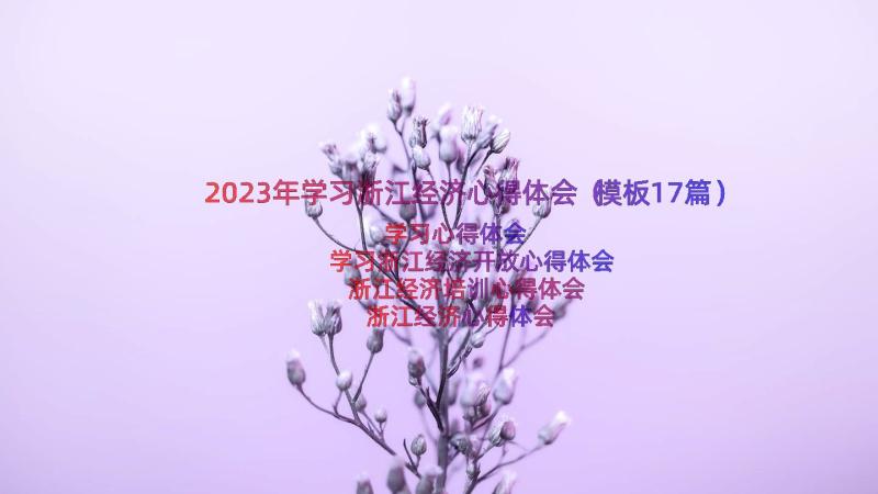 2023年学习浙江经济心得体会（模板17篇）