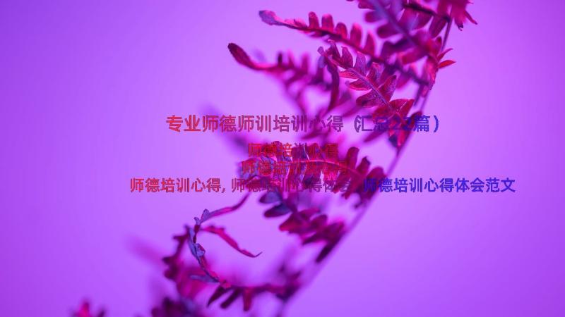 专业师德师训培训心得（汇总22篇）