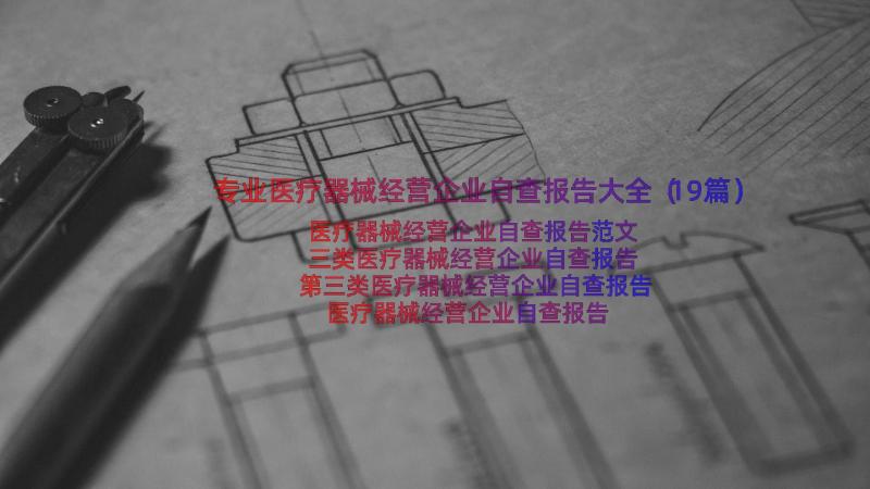 专业医疗器械经营企业自查报告大全（19篇）