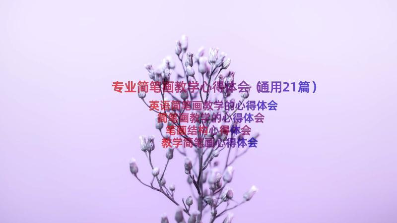 专业简笔画教学心得体会（通用21篇）