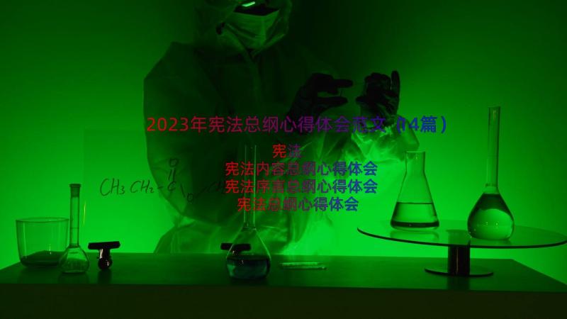 2023年宪法总纲心得体会范文（14篇）