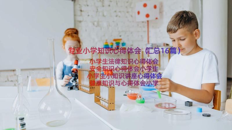 专业小学知识心得体会（汇总16篇）