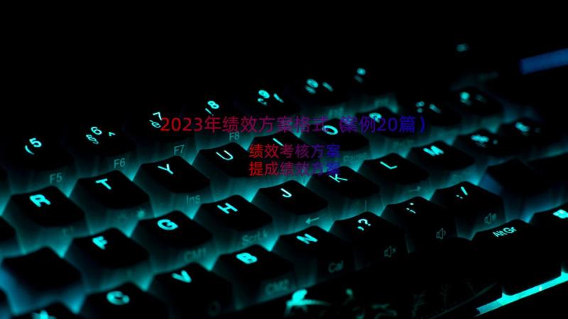 2023年绩效方案格式（案例20篇）