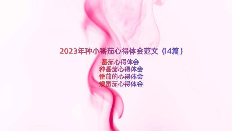 2023年种小番茄心得体会范文（14篇）