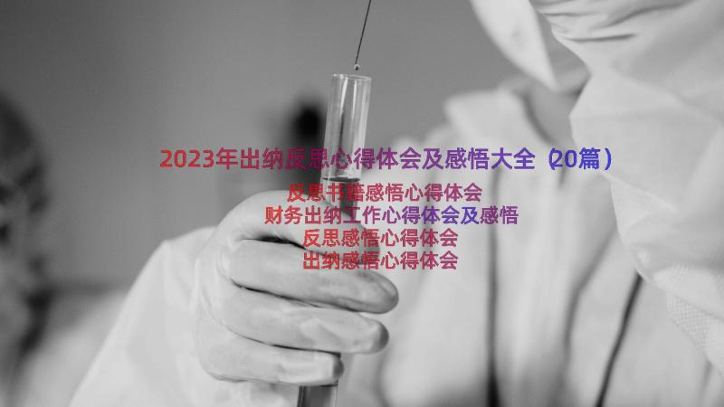 2023年出纳反思心得体会及感悟大全（20篇）