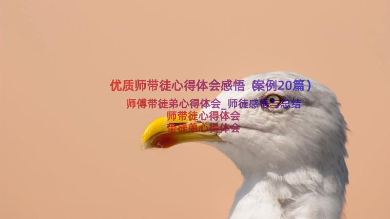 优质师带徒心得体会感悟（案例20篇）